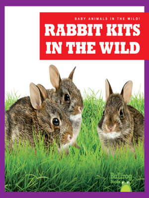 cover image of Rabbit Kits in the Wild